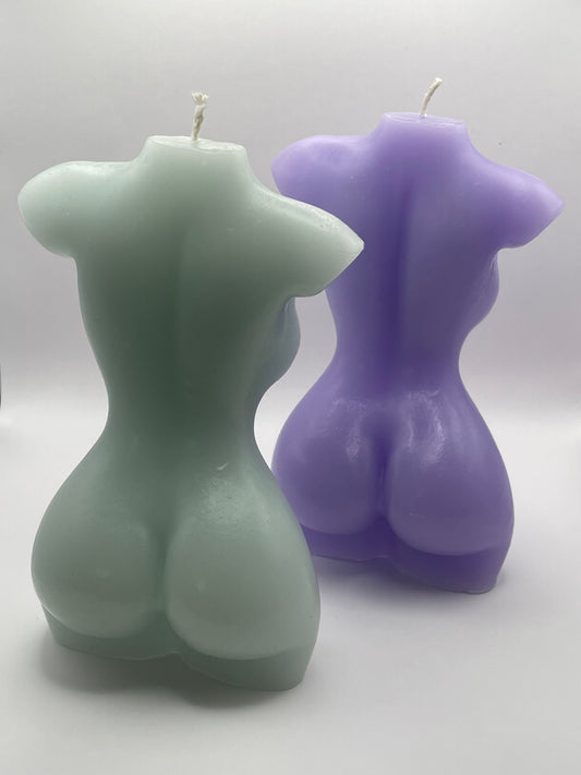 Torso