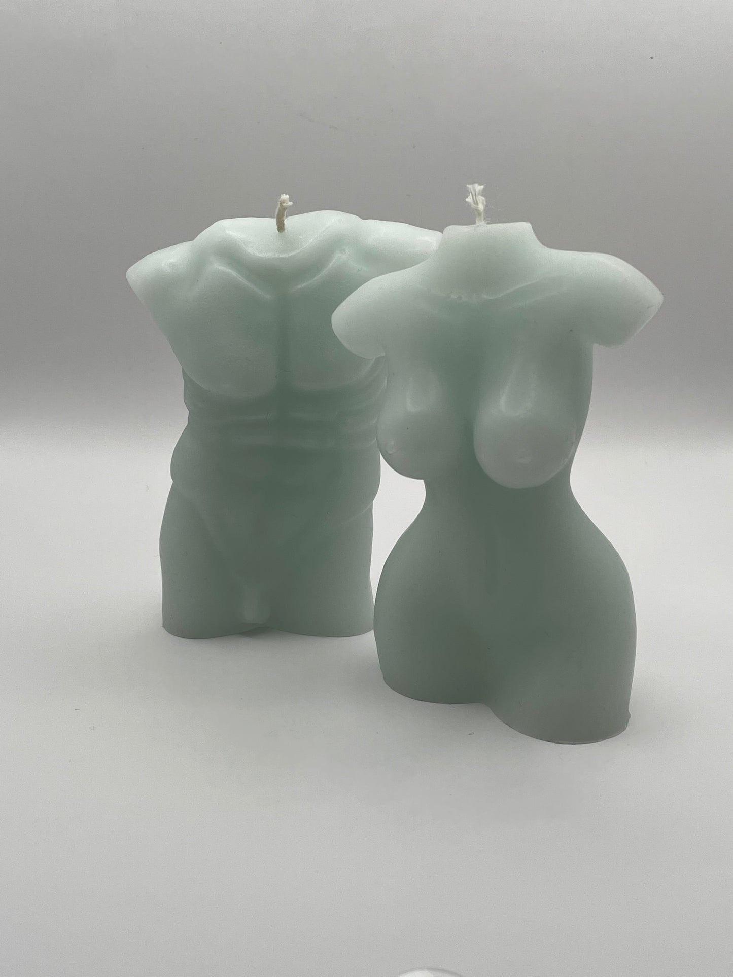 Torso